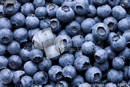 Image of Blueberry background