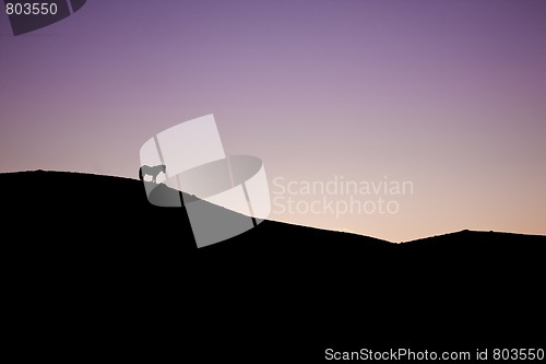 Image of The horse on the hill