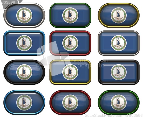 Image of 12 buttons of the Flag of Virginia