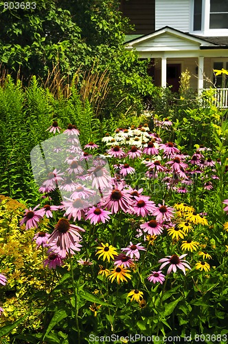 Image of Residential garden landscaping