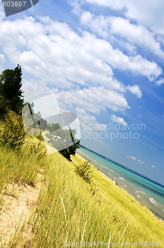 Image of Sand dunes at beach