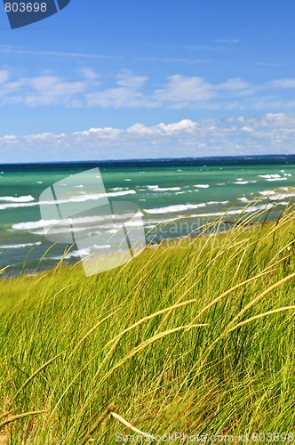 Image of Sand dunes at beach