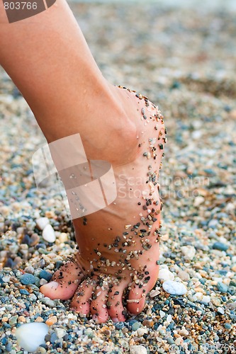 Image of Make a step on the beach