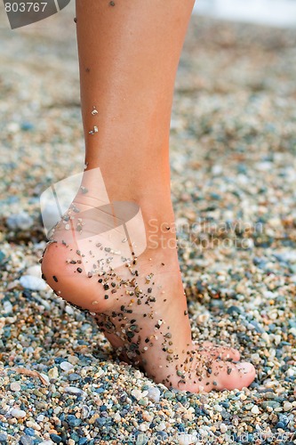 Image of Foot of a woman on the beach