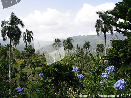 Image of Caribbean Air