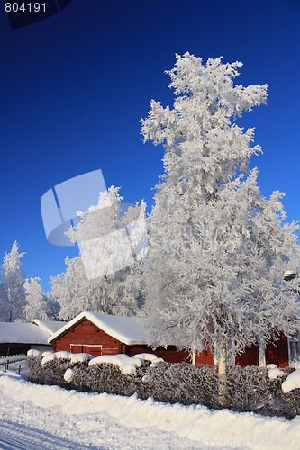 Image of Winterscape