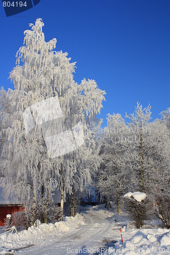 Image of Winterscape