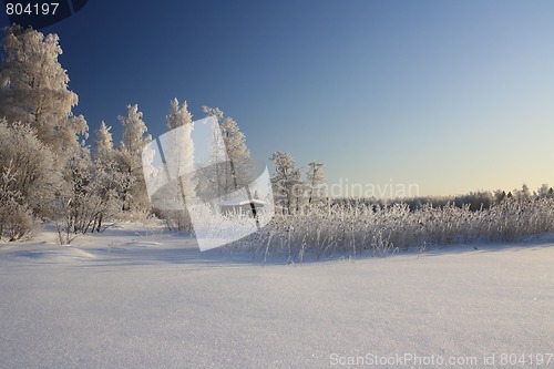 Image of Winterscape