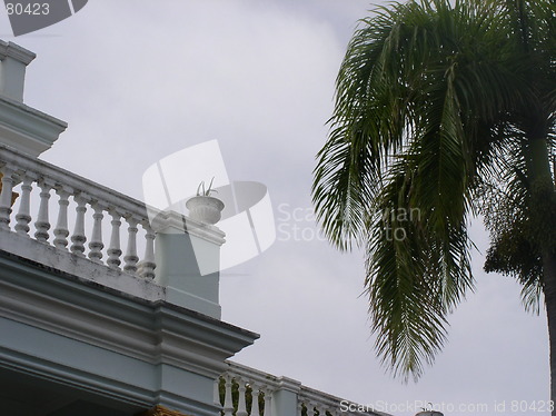 Image of Palace & Palm Tree