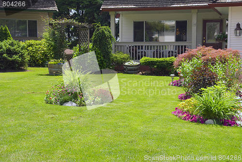 Image of Manicured Yard