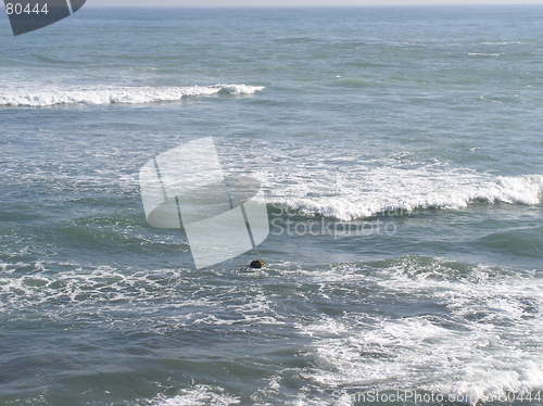 Image of Ocean