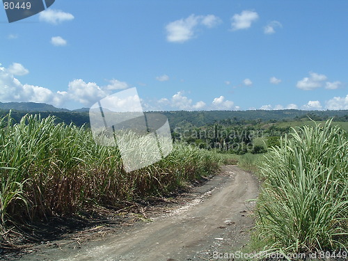 Image of Road to nowhere