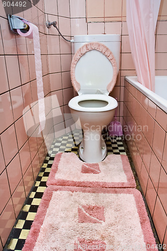 Image of Dirty toilet