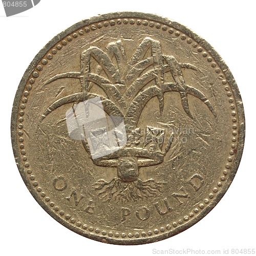 Image of Pounds