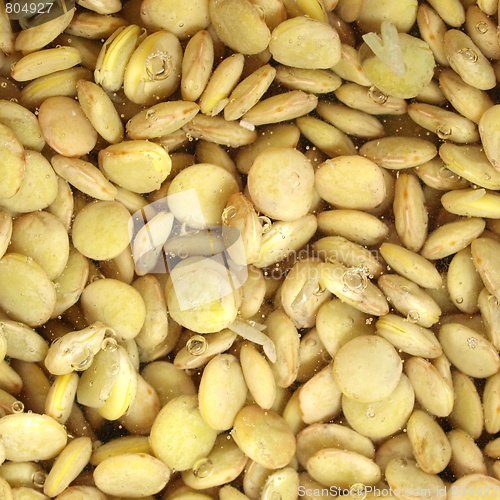 Image of Lentils