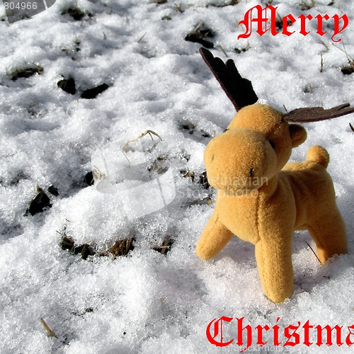 Image of Deer in snow greeting card