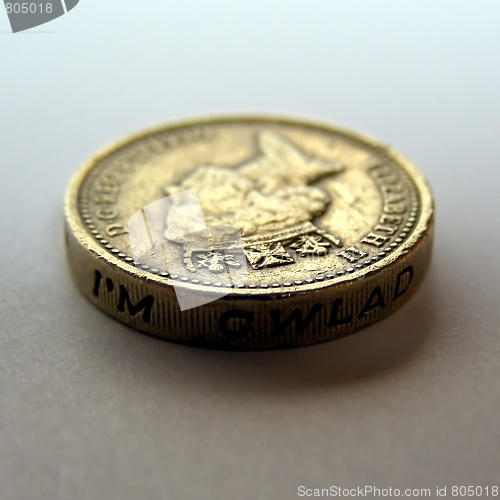 Image of Pounds