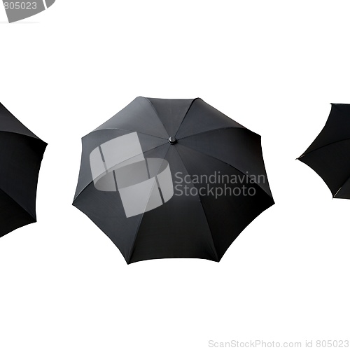 Image of Umbrella