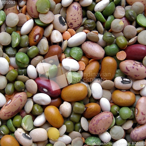 Image of Beans