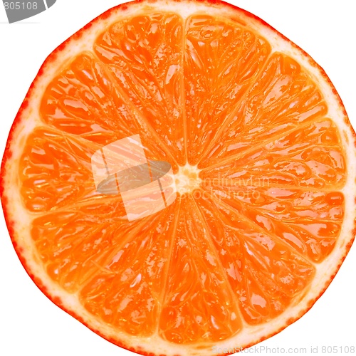 Image of Orange