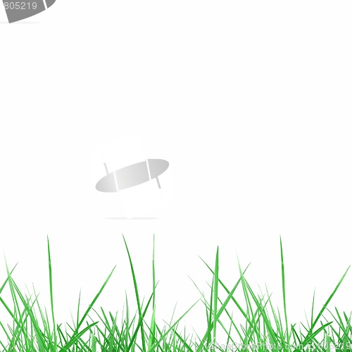 Image of Meadow