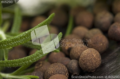 Image of allspice with fresh rosemary