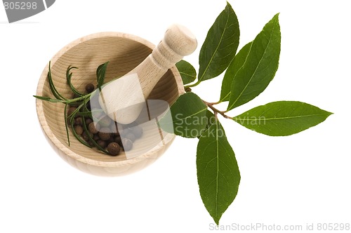 Image of Mortar with fresh herbs and allspice berries