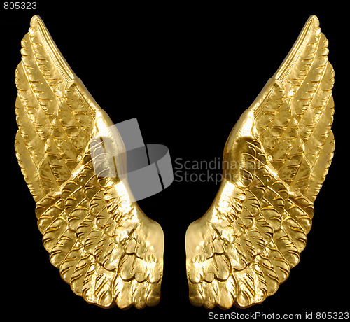 Image of Golden Wings