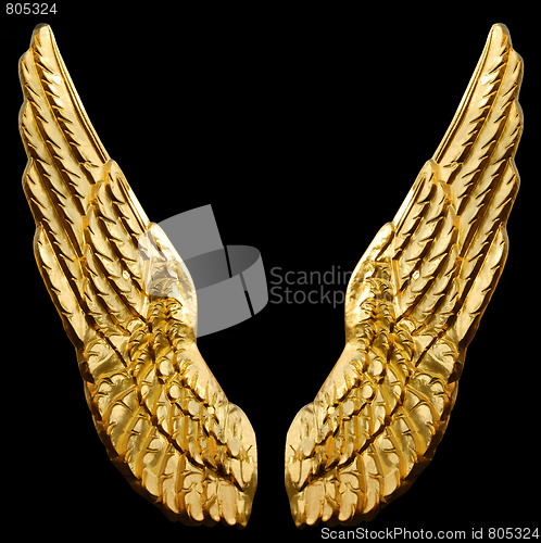 Image of Golden Wings