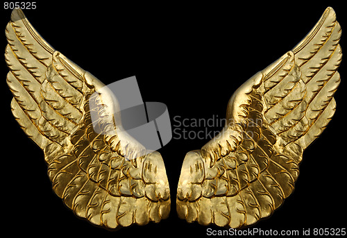 Image of Golden Wings