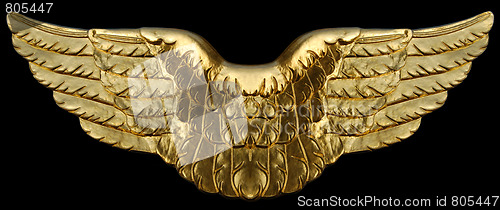 Image of Golden Wings