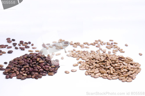 Image of kidney and pinto beans