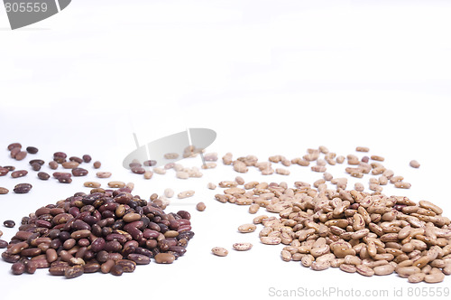 Image of close up on kidney and pinto beans