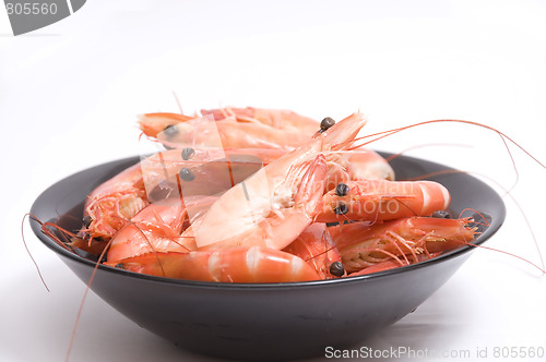 Image of shrimp bowl