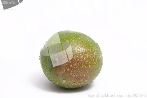 Image of fresh mango