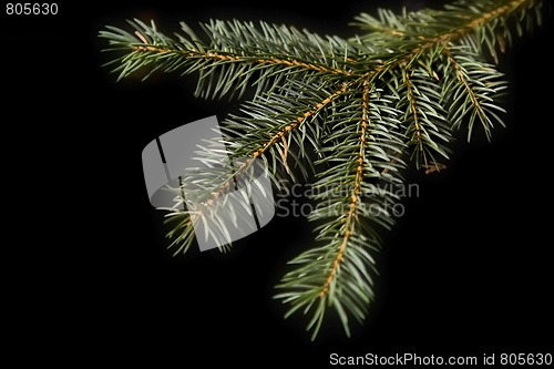 Image of Christmas decorations on black