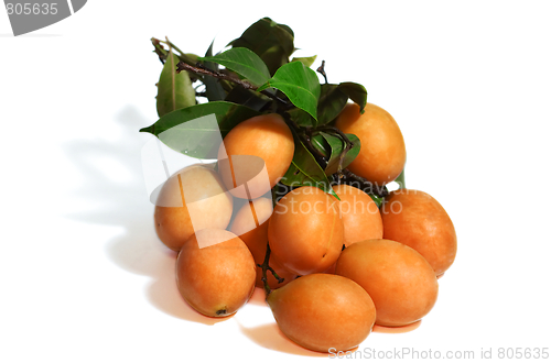Image of Exotic Thai Fruit. Maprang, Marian plum, Gandaria, Marian mango, Plum mango