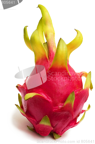 Image of Exotic Thai Fruit. Dragon fruit - Geow Mangon.