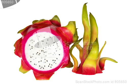 Image of Exotic Thai Fruit. Dragon fruit - Geow Mangon.