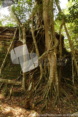 Image of Runs of ancient Cambodian temple