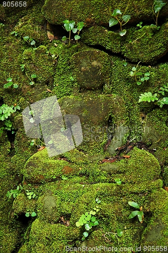 Image of Green stone Buddha.