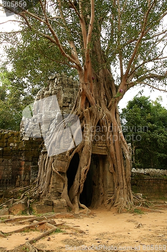 Image of Runs of ancient Cambodian temple