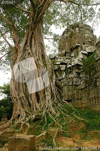 Image of Runs of ancient Cambodian temple