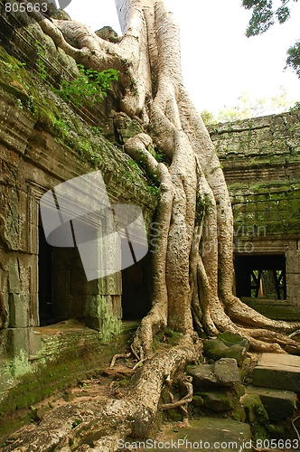 Image of Runs of ancient Cambodian temple