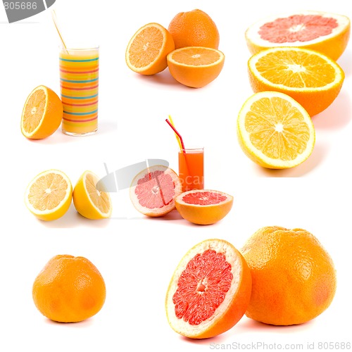 Image of citrus collection