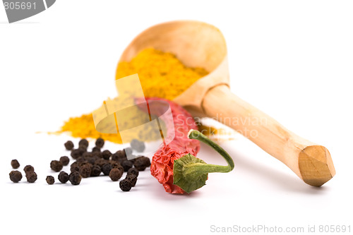 Image of spices