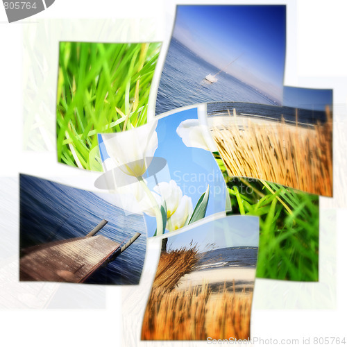 Image of Nature collage.