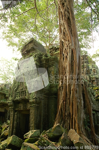 Image of Runs of ancient Cambodian temple