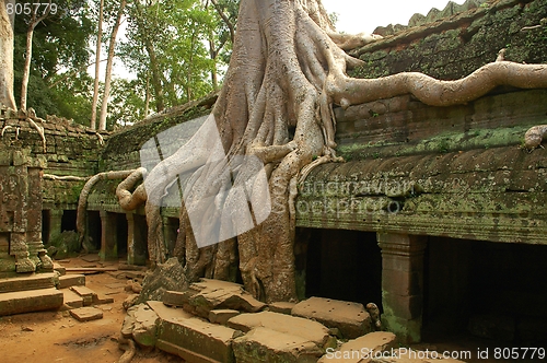 Image of Runs of ancient Cambodian temple