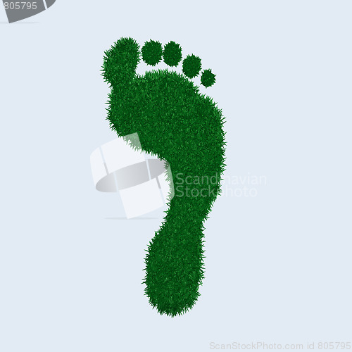 Image of Green Grass Footprint